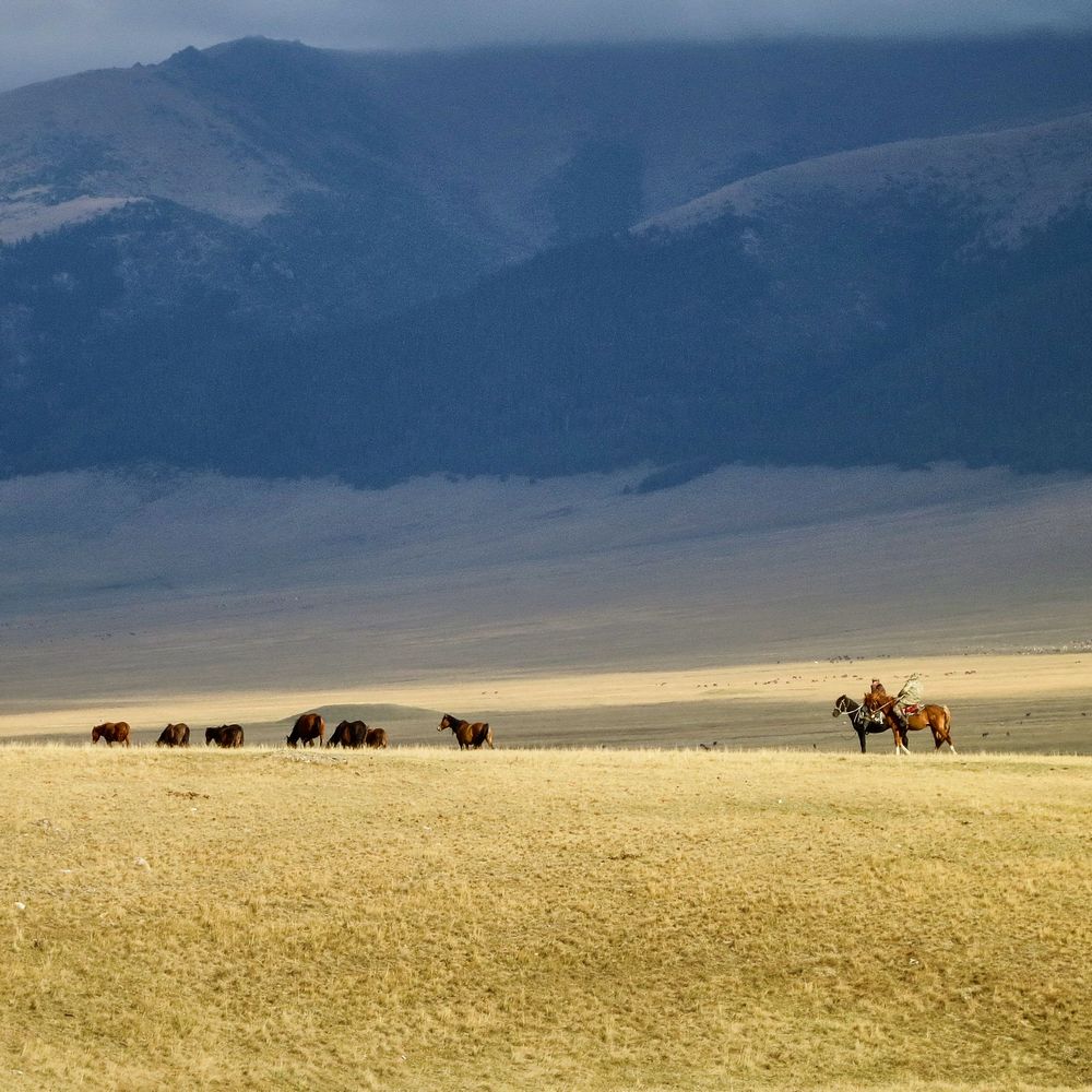 Open steppe